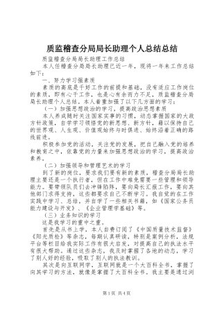 质监稽查分局局长助理个人总结总结