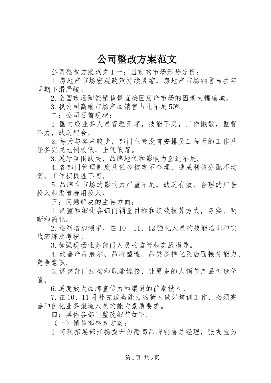 公司整改实施方案范文_第1页