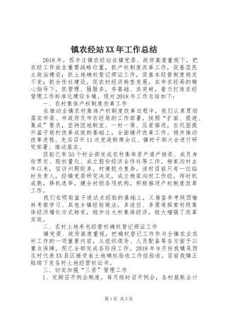 镇农经站XX年工作总结