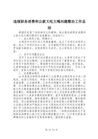违规职务消费和公款大吃大喝问题整治工作总结