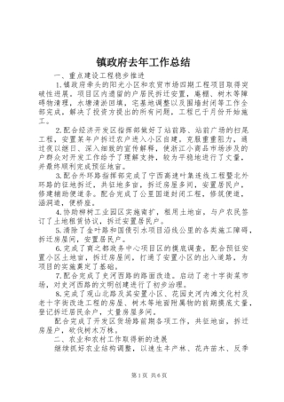 镇政府去年工作总结