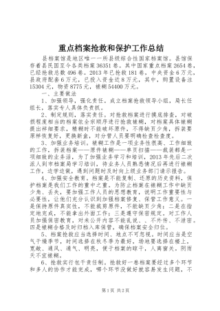 重点档案抢救和保护工作总结