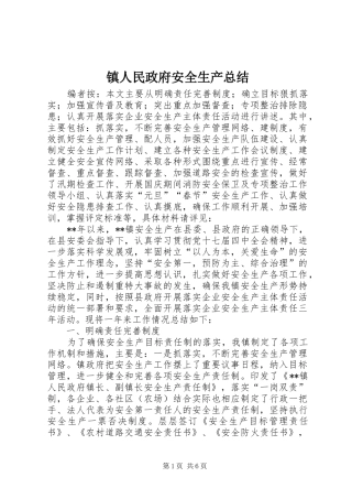 镇人民政府安全生产总结