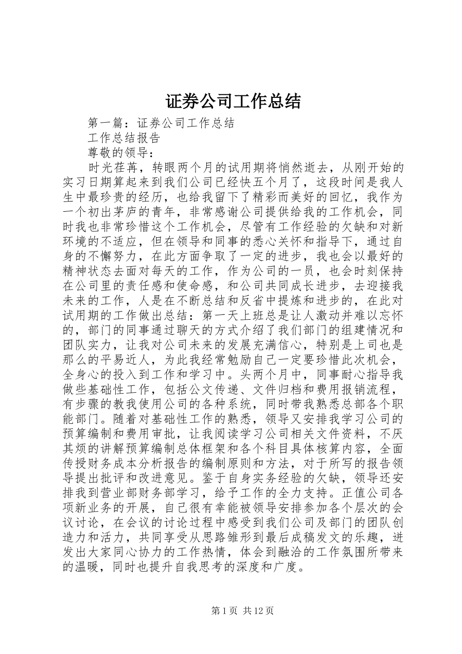 证券公司工作总结_第1页