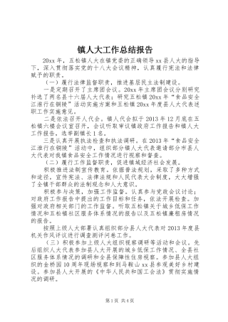 镇人大工作总结报告