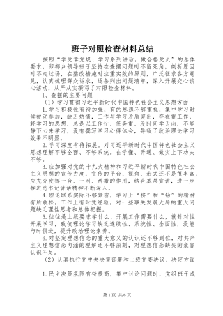 班子对照检查材料总结