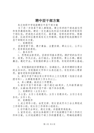 聘中层干部方案