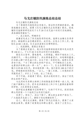 马戈庄镇防汛演练总结总结