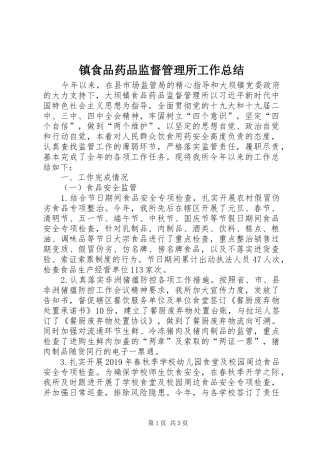 镇食品药品监督管理所工作总结