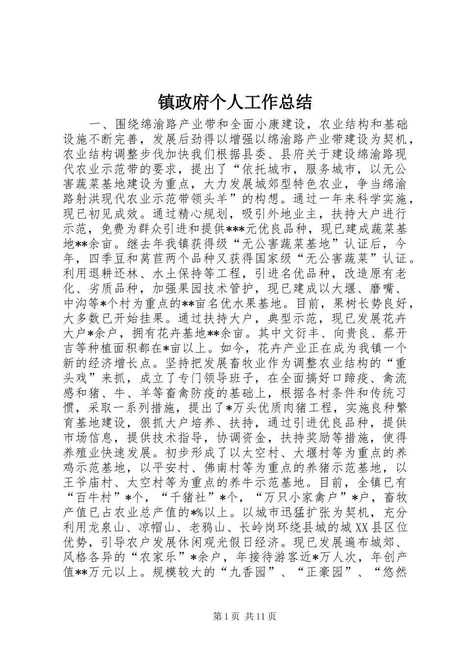 镇政府个人工作总结_第1页
