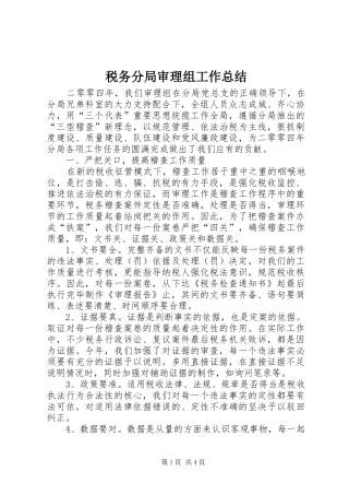 税务分局审理组工作总结