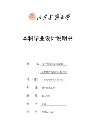 CAST工艺设计说明书