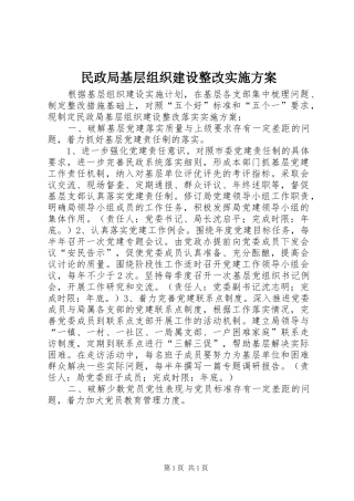 民政局基层组织建设整改实施方案
