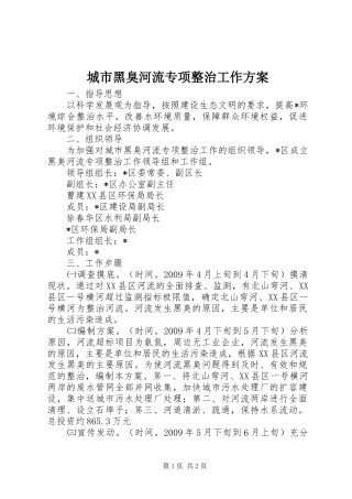 城市黑臭河流专项整治工作实施方案