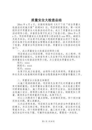 质量安全大检查总结