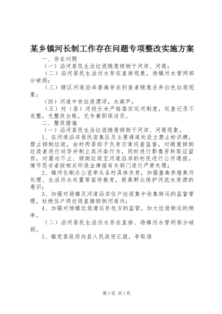 某乡镇河长制工作存在问题专项整改实施方案