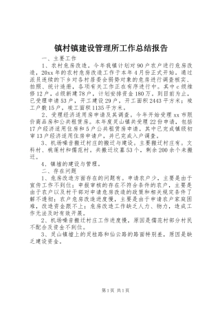 镇村镇建设管理所工作总结报告