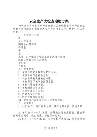 安全生产大检查迎检实施方案