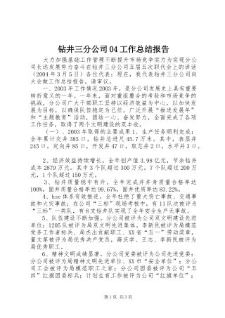 钻井三分公司04工作总结报告