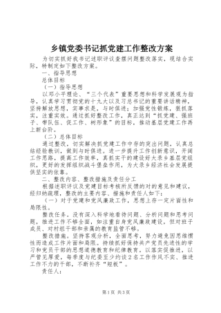 乡镇党委书记抓党建工作整改实施方案