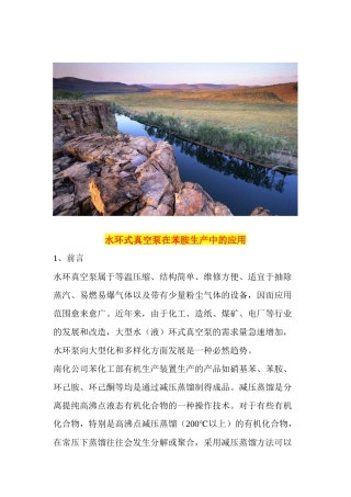 水环式真空泵在苯胺生产中的应用_1