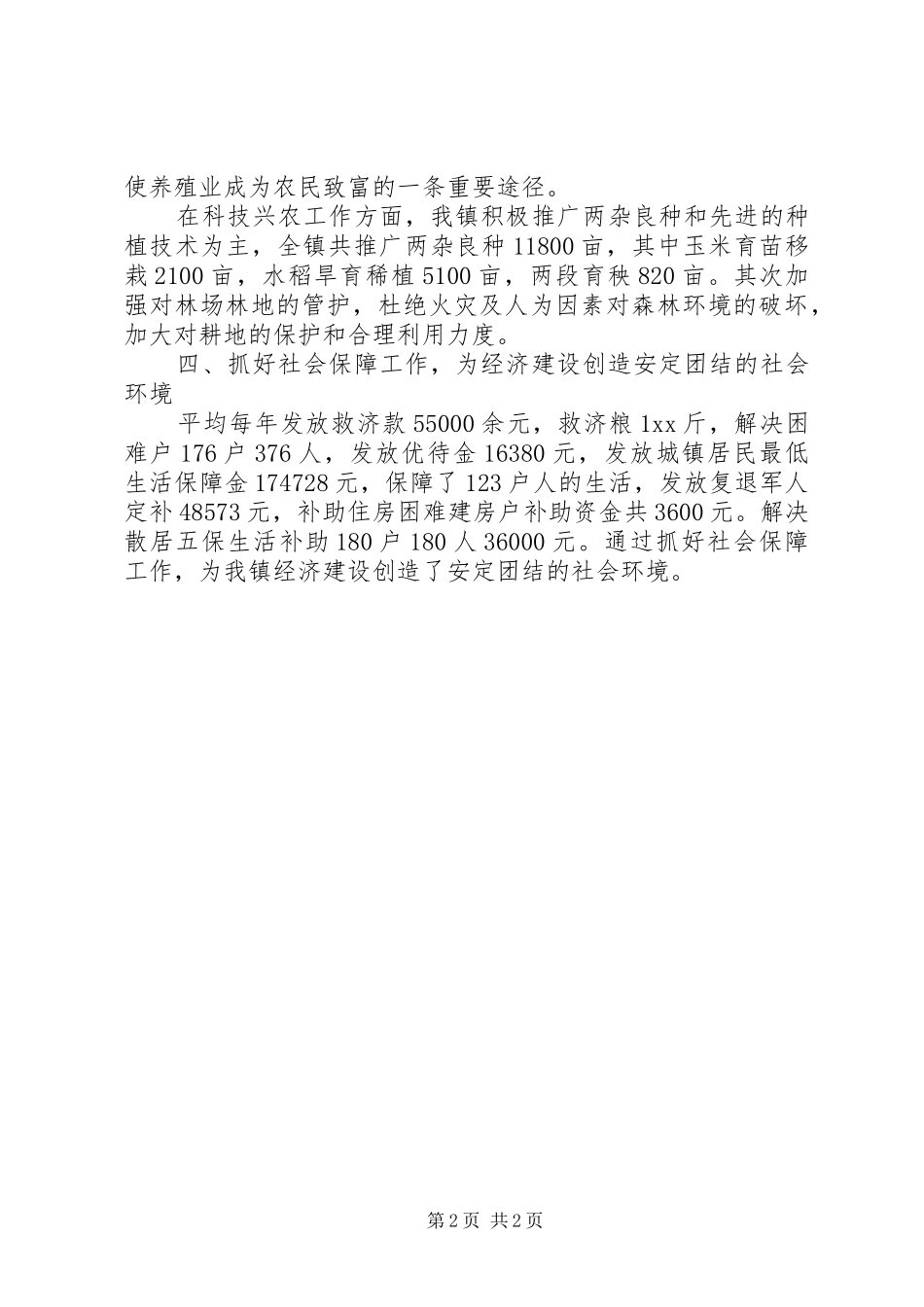 镇长个人工作总结_第2页