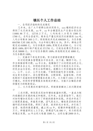 镇长个人工作总结