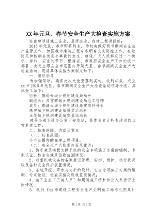 XX年元旦、春节安全生产大检查方案