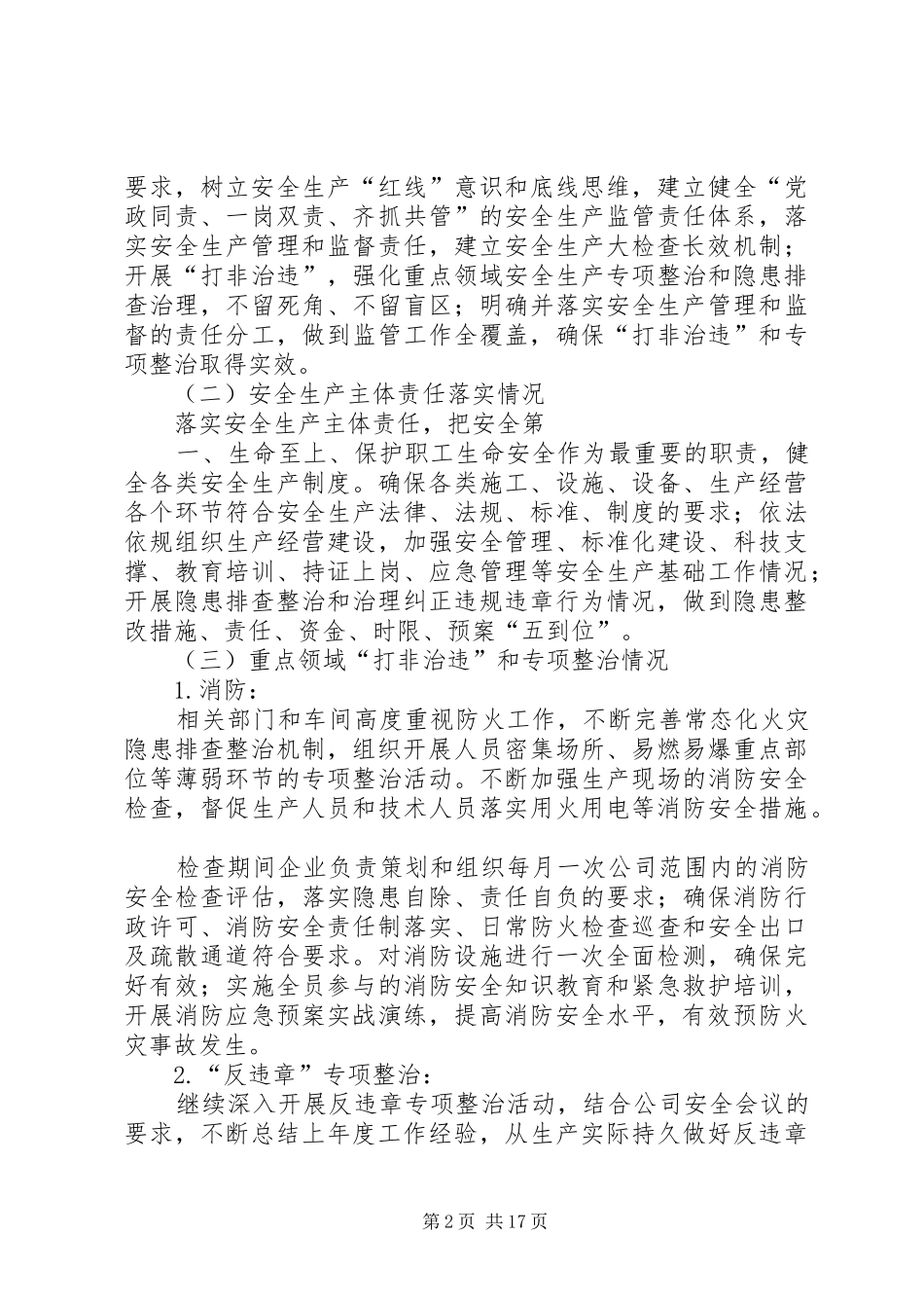 XX年安全大检查实施方案_第2页