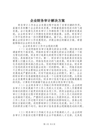 企业财务审计解决实施方案