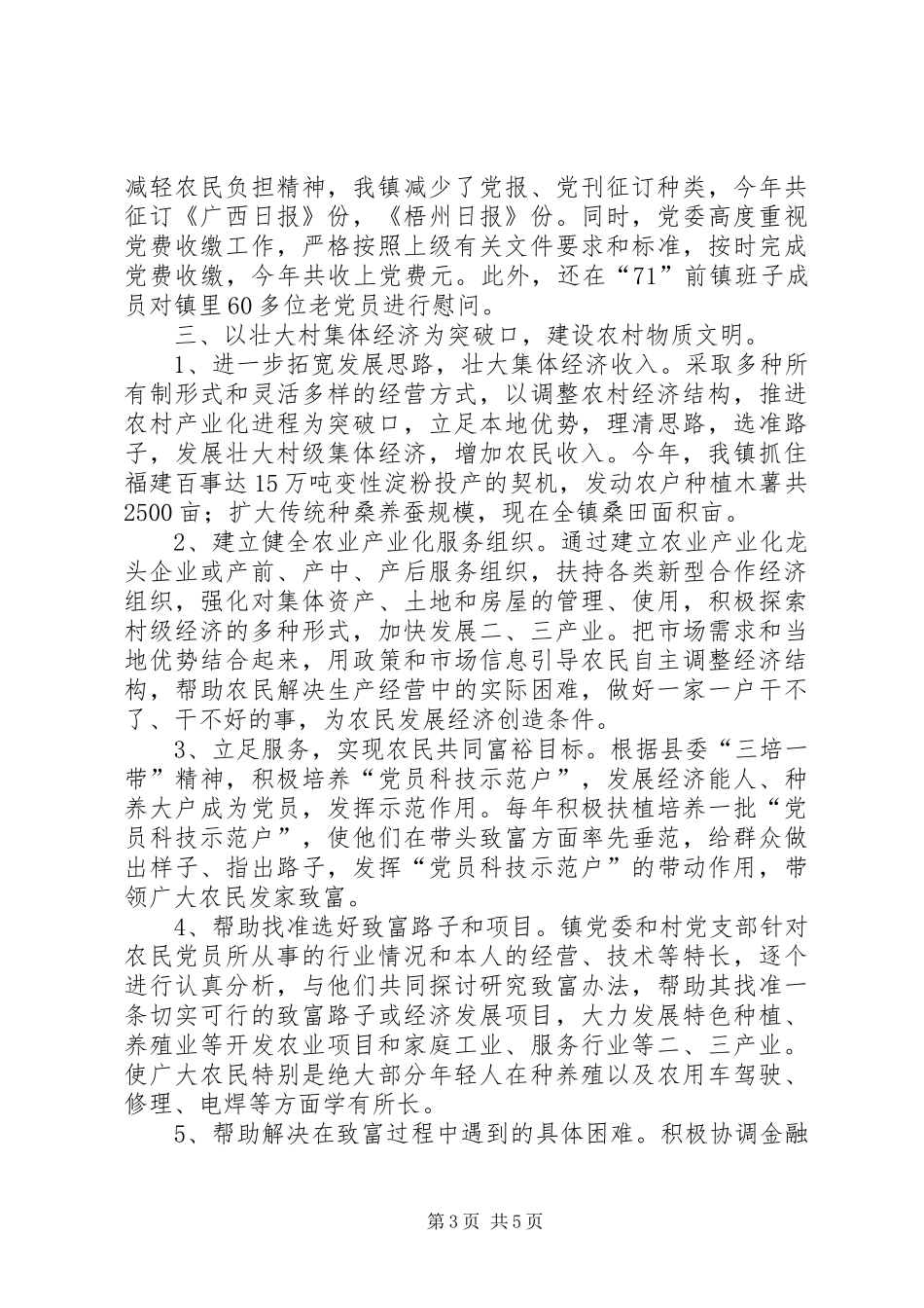 镇二00四年基层组织建设工作总结-乡镇工作年终总结个人总结_第3页