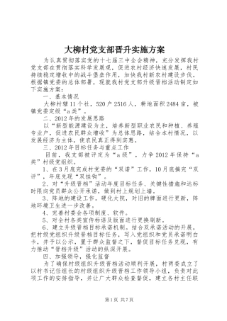 大柳村党支部晋升方案