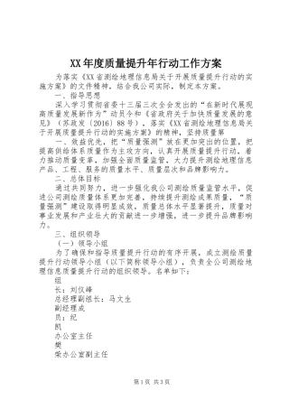 XX年度质量提升年行动工作实施方案