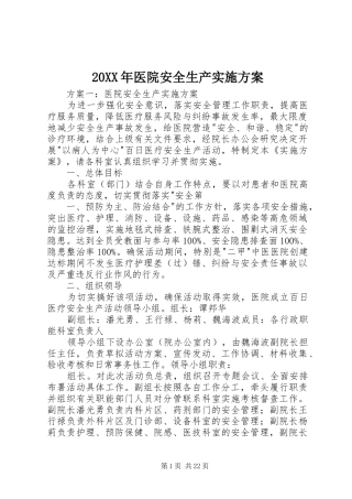 XX年医院安全生产方案