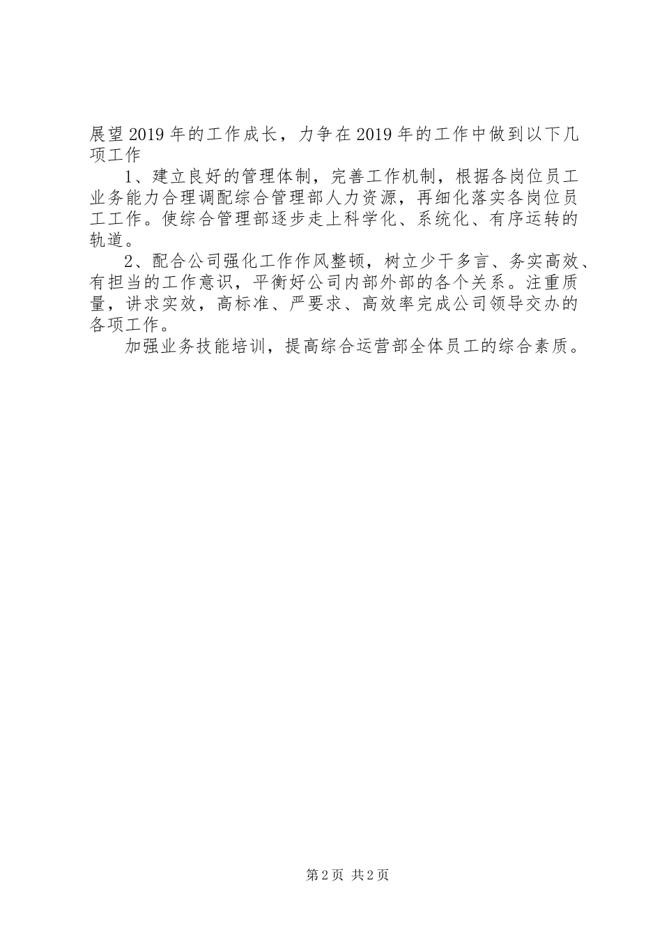 综合运营部个人工作总结_第2页