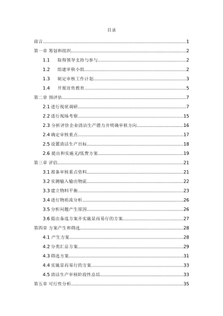 清洁生产审核报告(62页)