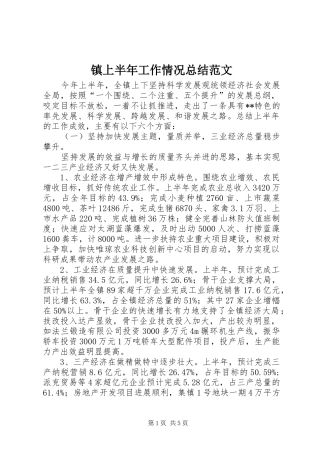 镇上半年工作情况总结范文