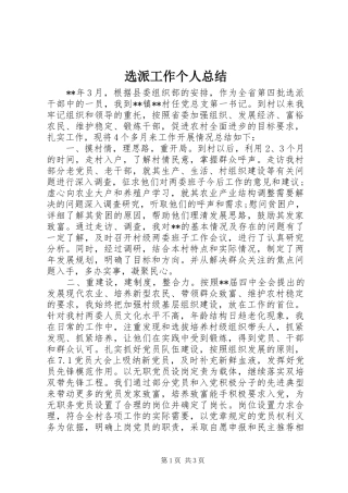 选派工作个人总结