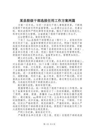 某县股级干部选拔任用工作实施方案两篇