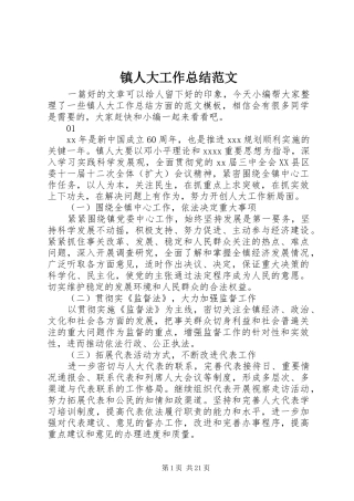 镇人大工作总结范文