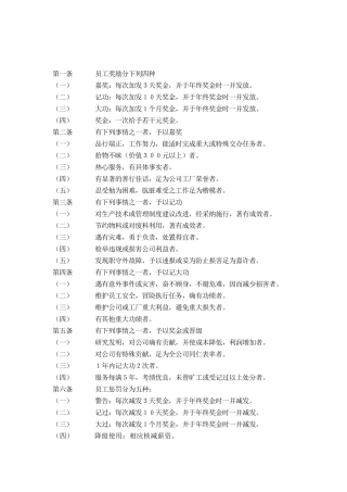 奖惩规定B（ 3页）