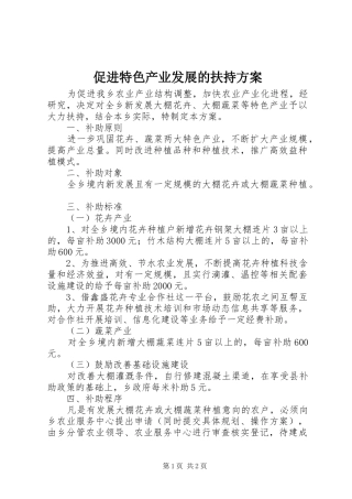 促进特色产业发展的扶持实施方案