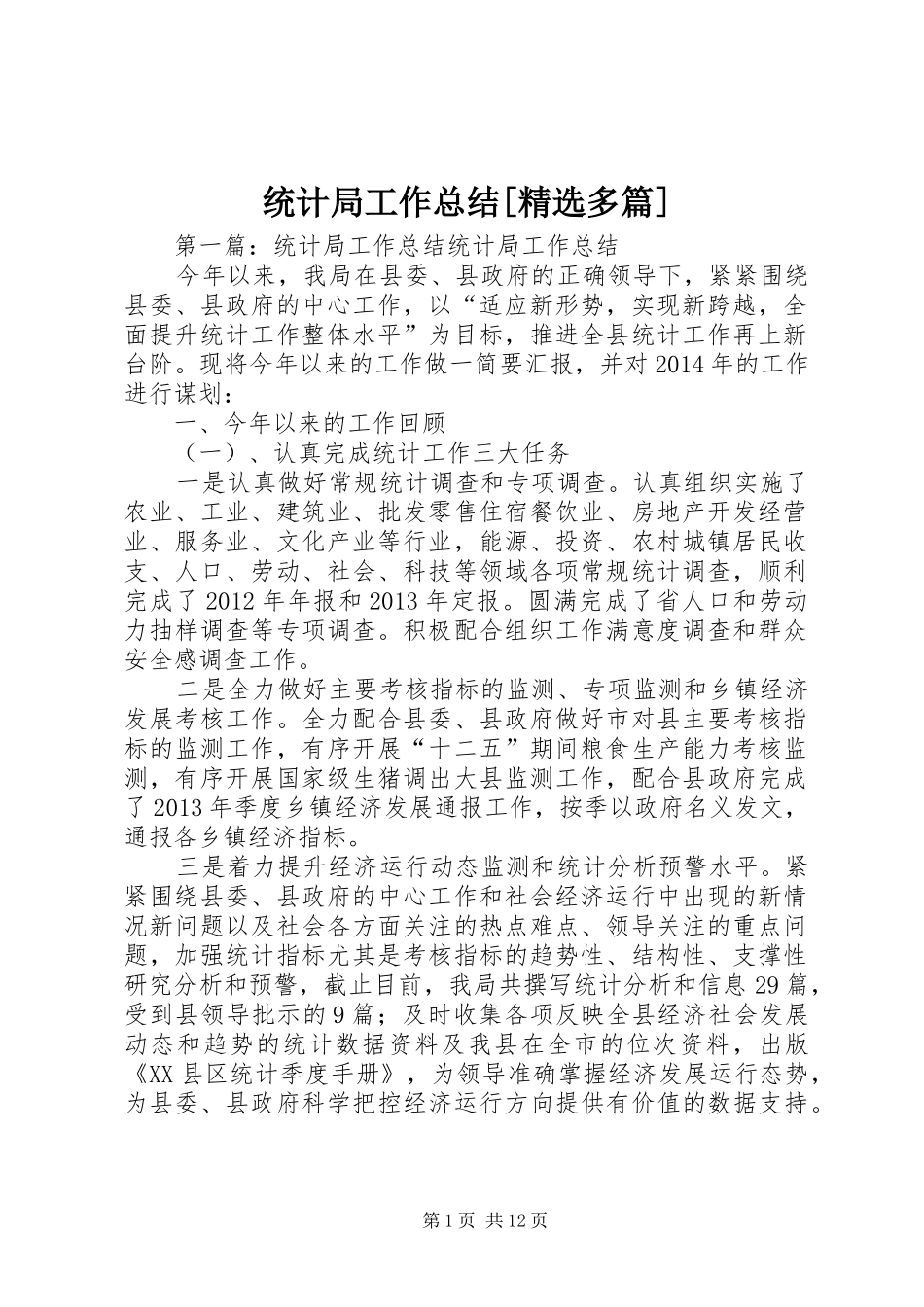 统计局工作总结[精选多篇]_第1页