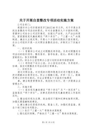 关于开展自查整改专项活动方案