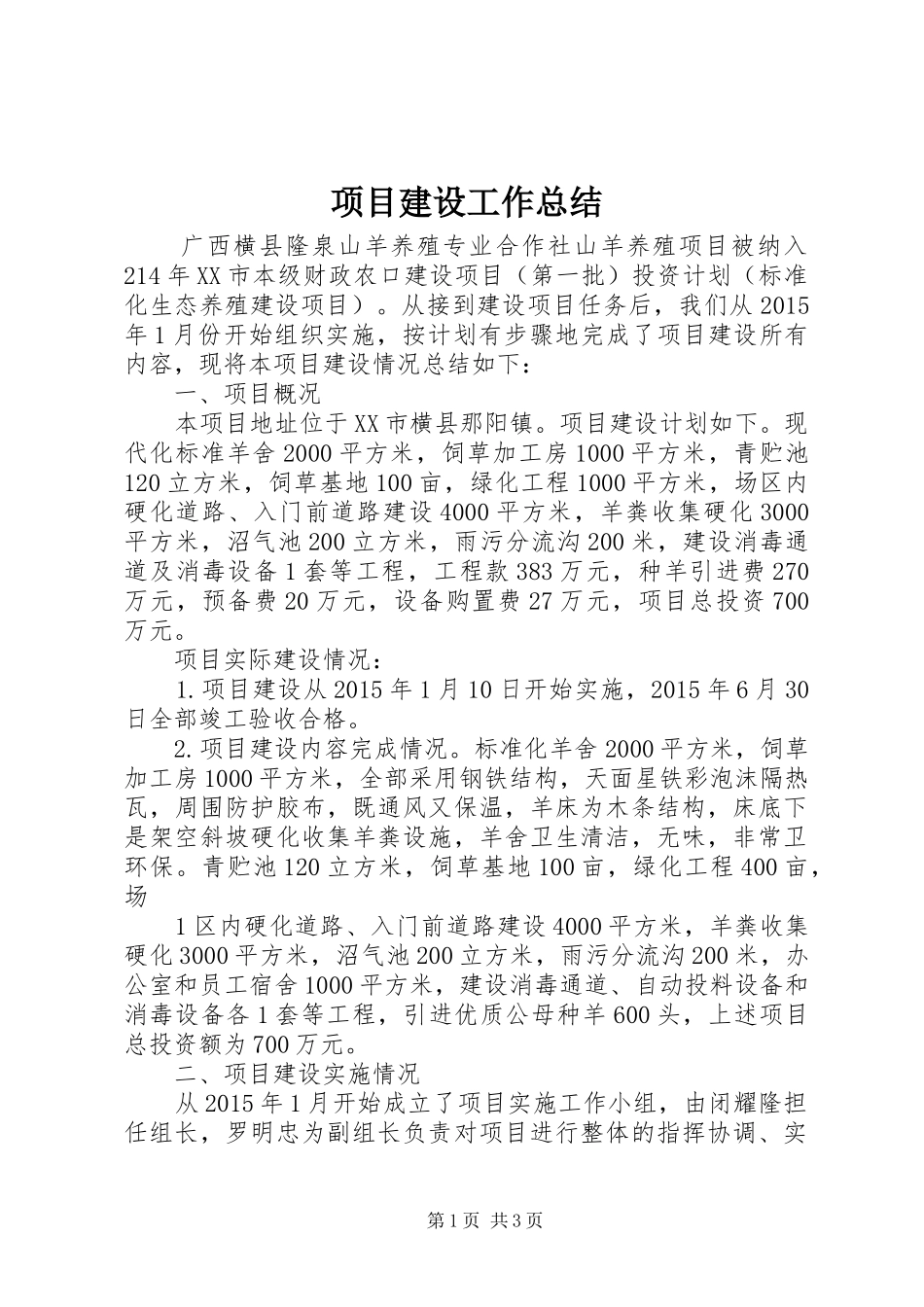项目建设工作总结_第1页