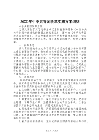 XX年中学共青团改革方案细则 ()
