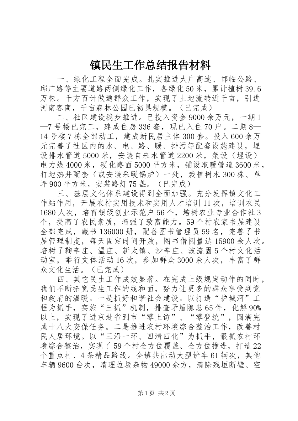 镇民生工作总结报告材料_第1页