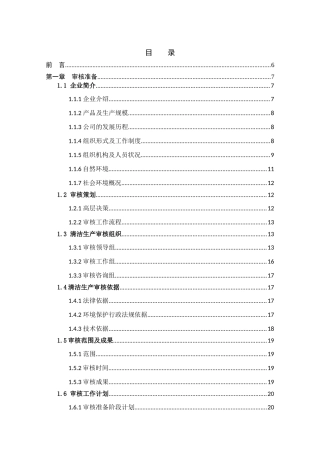 润丰公司清洁生产审核报告