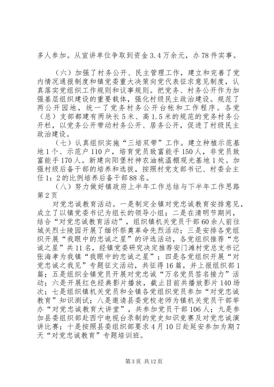 镇政府上半年工作总结与下半年工作思路_第3页