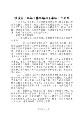 镇政府上半年工作总结与下半年工作思路